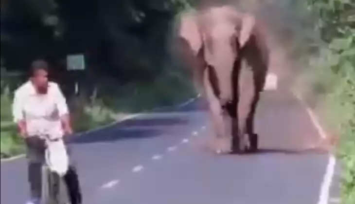 Angry elephant put race like this behind the rider, see how the life of the young man was saved in the video