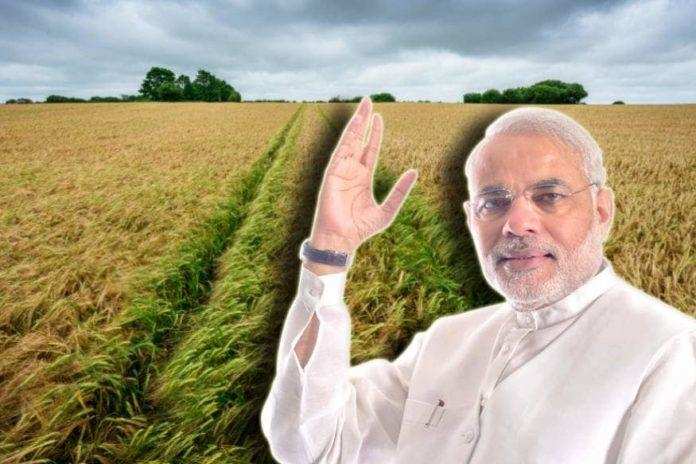 किसानों ने उत्पादन और सरकार ने खरीद के पुराने रिकॉर्ड तोड़े: PM Modi