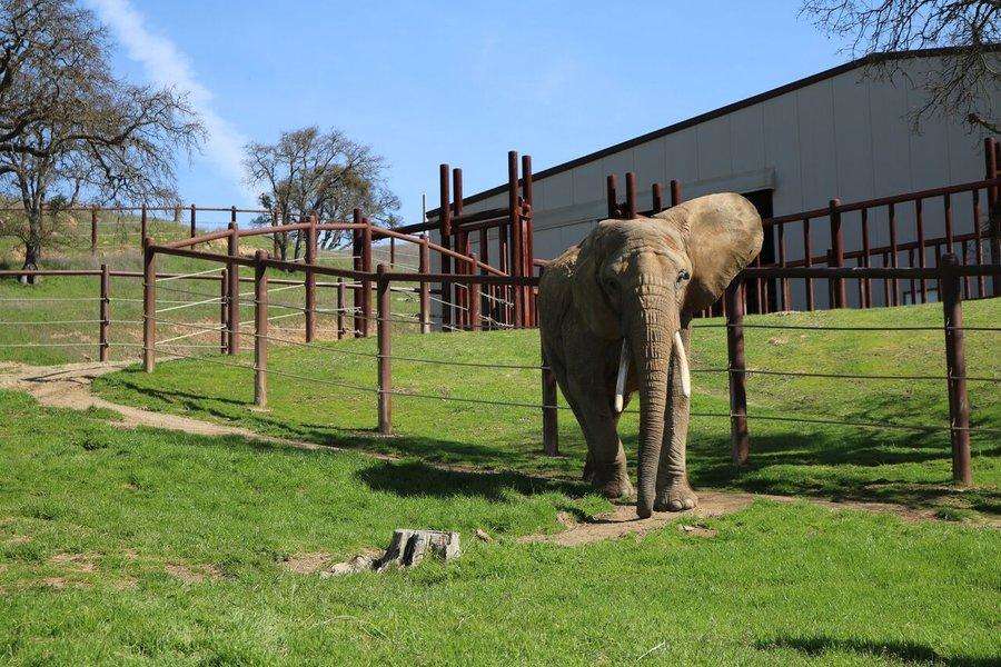 You will be surprised to know these different types of Zoos around the world