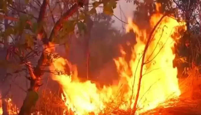 Fire not extinguishing in Uttarakhand’s forests, 45 incidents in 24 hours, Home Minister Amit Shah announced help