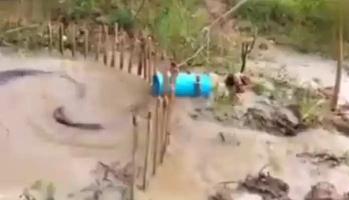 50 feet long snake stuck in drum, see what happened again in the video