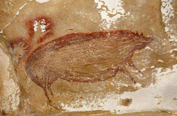 इंडोनेशिया में एक सुअर की 200 साल पुरानी गुफा में पेंटिंग मिली
