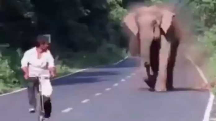 परिवार को सड़क पार कराने के लिए हाथी ने इस तरह कराया रोड खाली, वीडियो देखे कहेंगे-क्या भौकाल है?