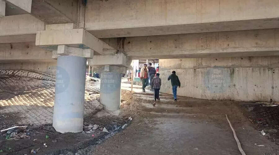 Uzanbazar Fish Market: A Vibrant Hub for Bhogali Celebrations