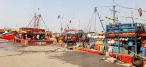 Odisha's Marine Fishing Ban: A Looming Crisis for Thousands of Fishermen