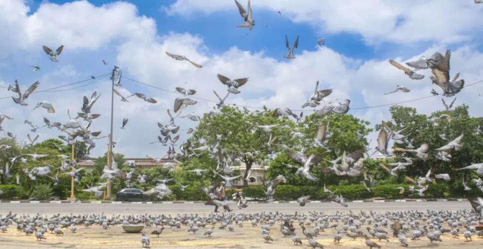 Significant Improvement in Air Quality Across NCR Amid Weather Changes