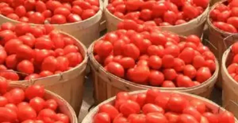 US Imposes 17% Tariff on Mexican Tomatoes: What It Means for Consumers