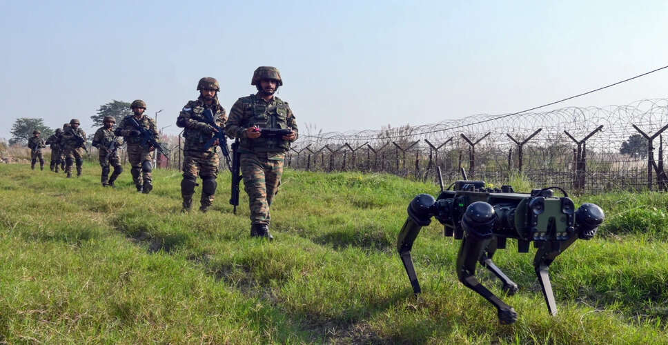 Suspicious Pigeon Captured Near LOC Raises Concerns of Espionage