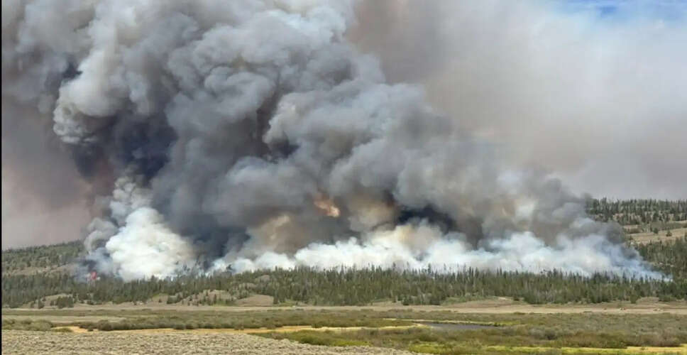 Efforts Intensify to Control East Side Fire Near Red Lodge, Montana