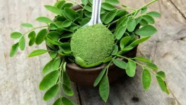 The Health Benefits of Moringa Leaves: A Natural Superfood
