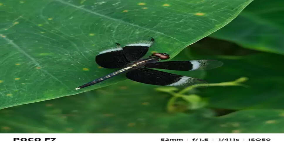 POCO responds to community: F7’s 1st OTA delivers camera, system boosts