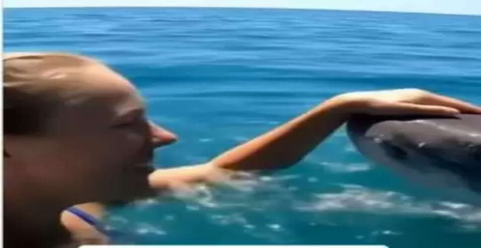 Girl's Heartwarming Encounter with a Shark Leaves Viewers in Awe!