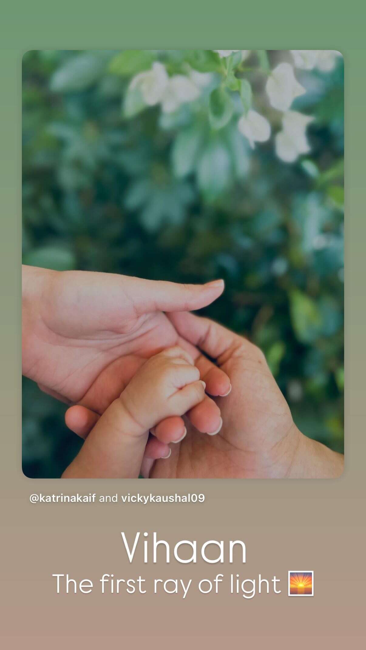 Katrina Kaif and Vicky Kaushal Reveal Their Son's Name: Meet Vihaan Kaushal!