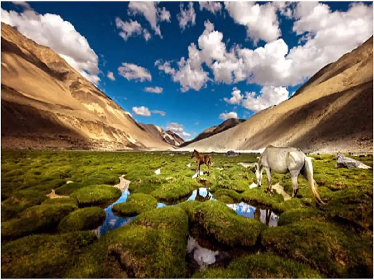 Discover India's Hidden Natural Wonders: 7 Breathtaking Destinations