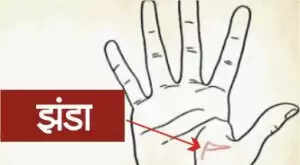 हाथ की रेखाओं में छिपे भाग्य के संकेत