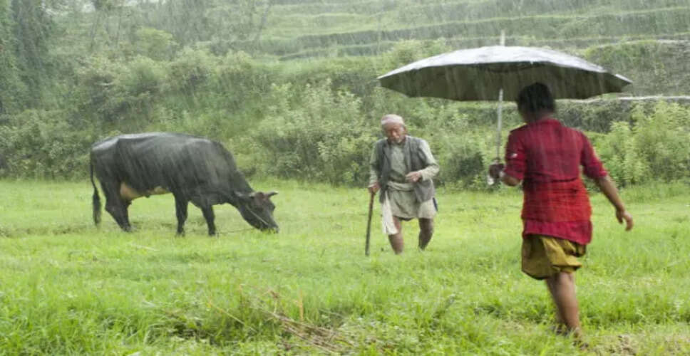 Assam Faces Severe Rainfall Deficit Amid Climate Concerns