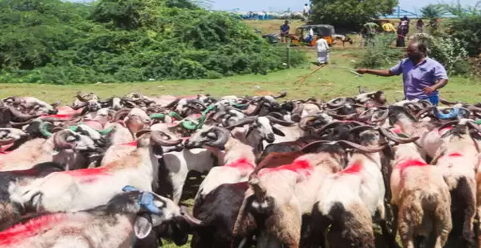 India can become global leader in livestock exports, aim for 20 pc rise in FY26