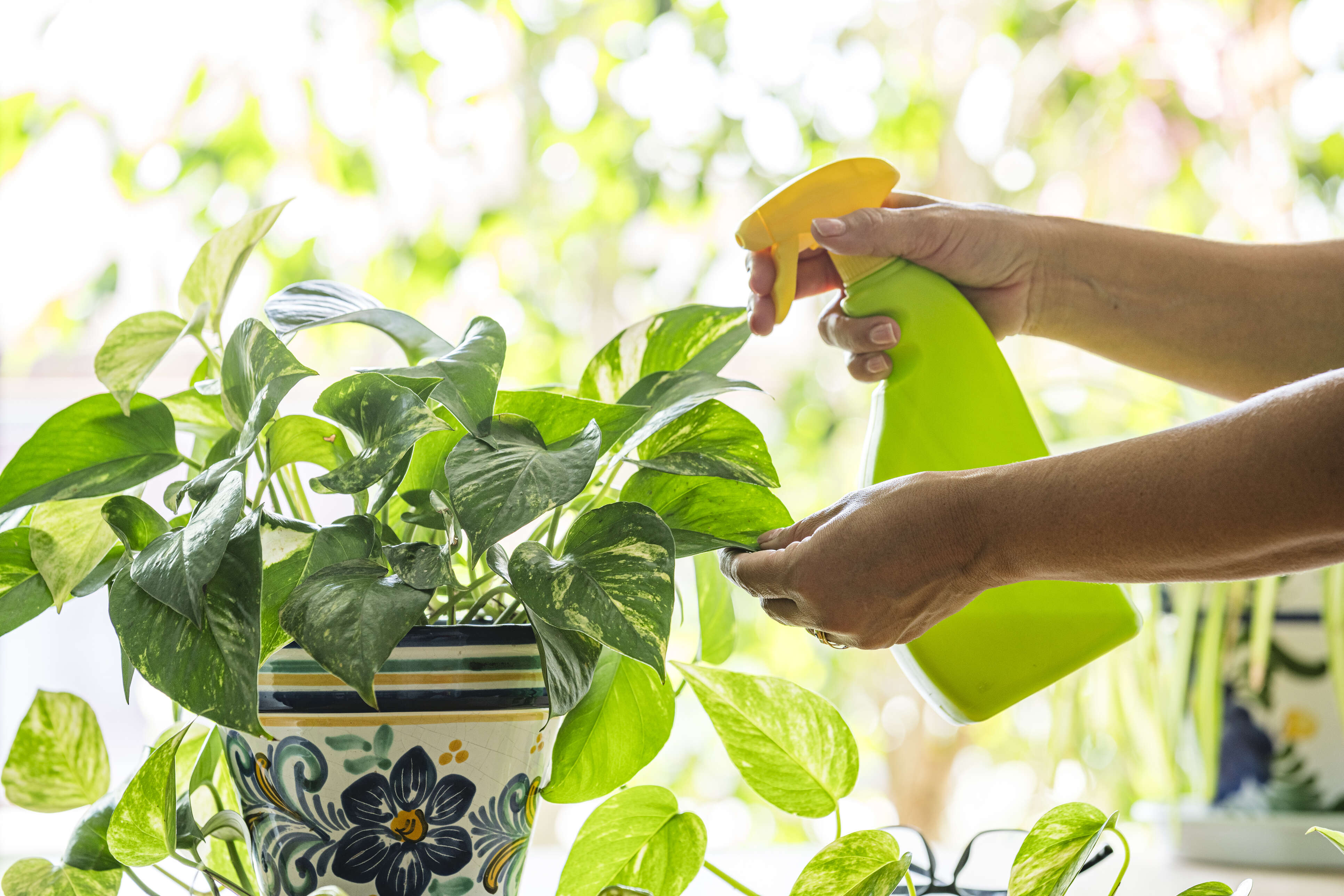 Transform Your Home into a Cozy Retreat This Monsoon
