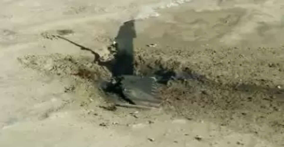 Pilot Ejects Safely After Thunderbirds Jet Crash in California Desert