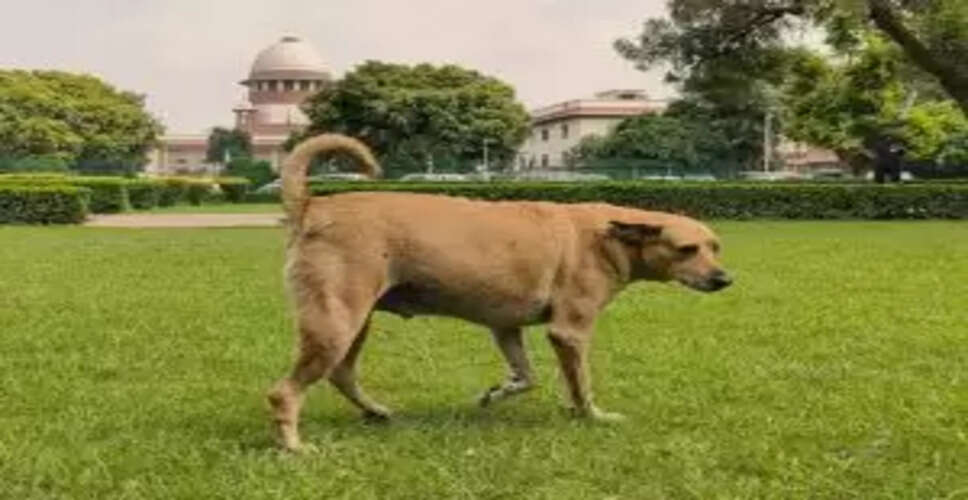 Supreme Court's Bold Move: States to Face Heavy Penalties for Dog-Bite Cases