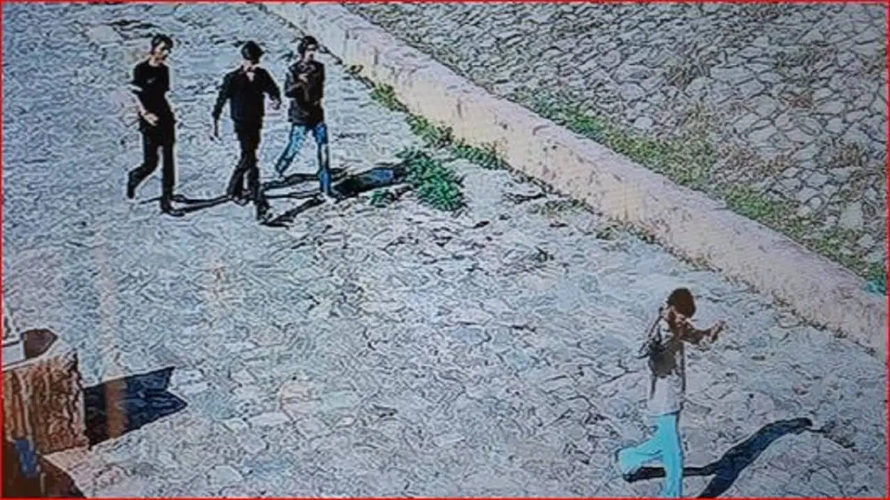 Japanese Tourist Harassed in Jaipur: Disturbing Incident Captured on CCTV