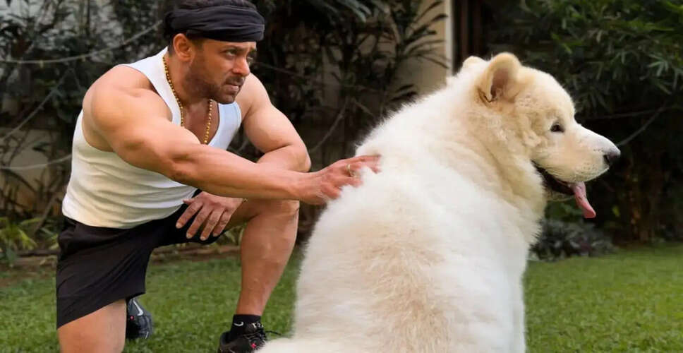 Celebrating the Bond Between Bollywood Stars and Their Pets on National Pet Day