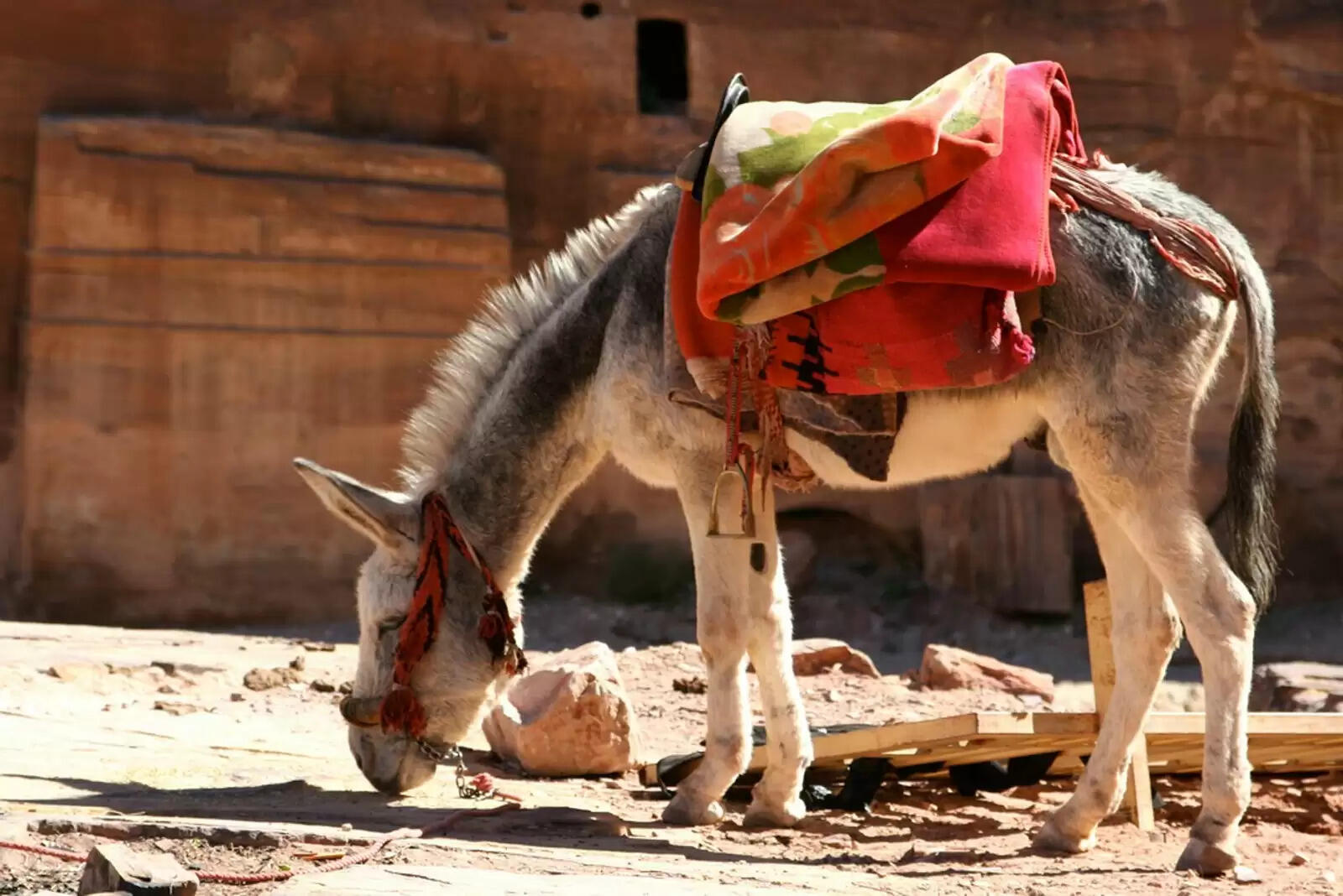 जीवन में दूसरों की राय से कैसे बचें: एक शिक्षाप्रद कहानी
