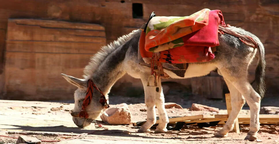 जीवन में दूसरों की राय से कैसे बचें: एक शिक्षाप्रद कहानी