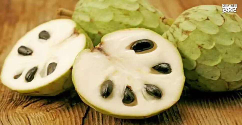 The Incredible Benefits of Cherimoya for Hair Health