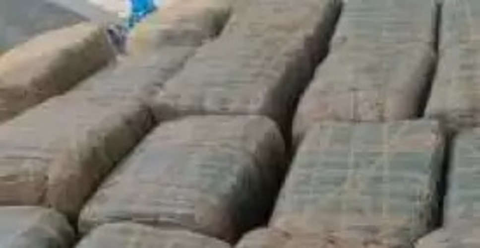 200 kg ganja seized in Hyderabad, 3 held