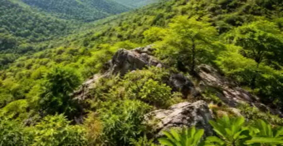 Government Takes Bold Steps to Protect Aravalli Mountains from Illegal Mining