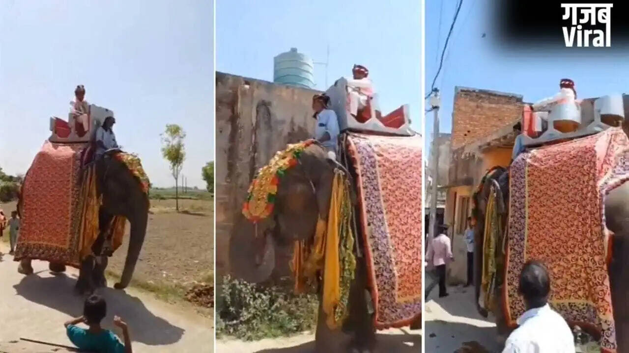 Unique Wedding Celebration in Meerut: Groom Arrives on Elephant