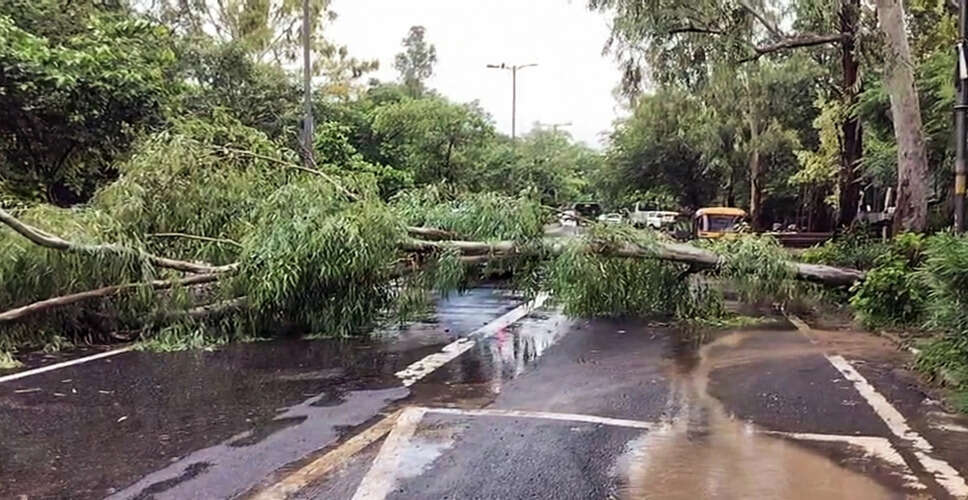 Impact of Heavy Rainfall in Delhi: Trees Uprooted and Tragic Incident Reported