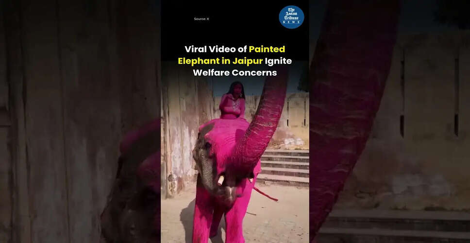 Exploring the Latest Developments in International Affairs