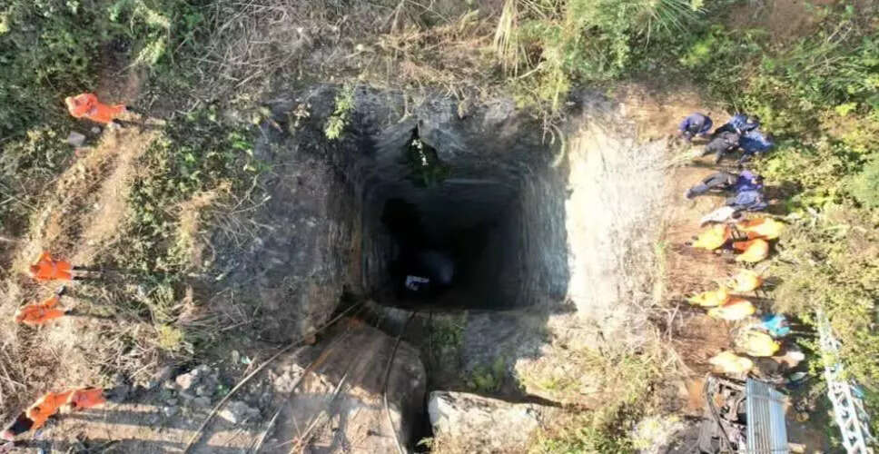 Environmental Activist Calls for Wildlife Sanctuary Status in Assam