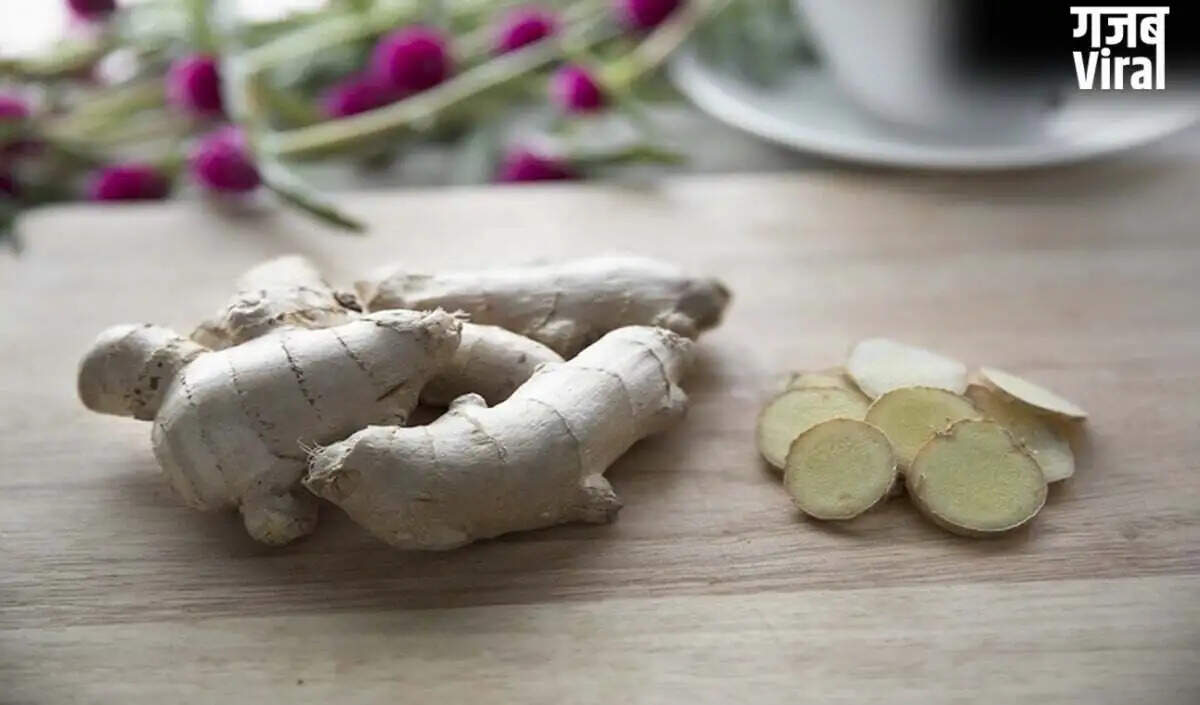 Effective Methods to Keep Ginger Fresh for Months