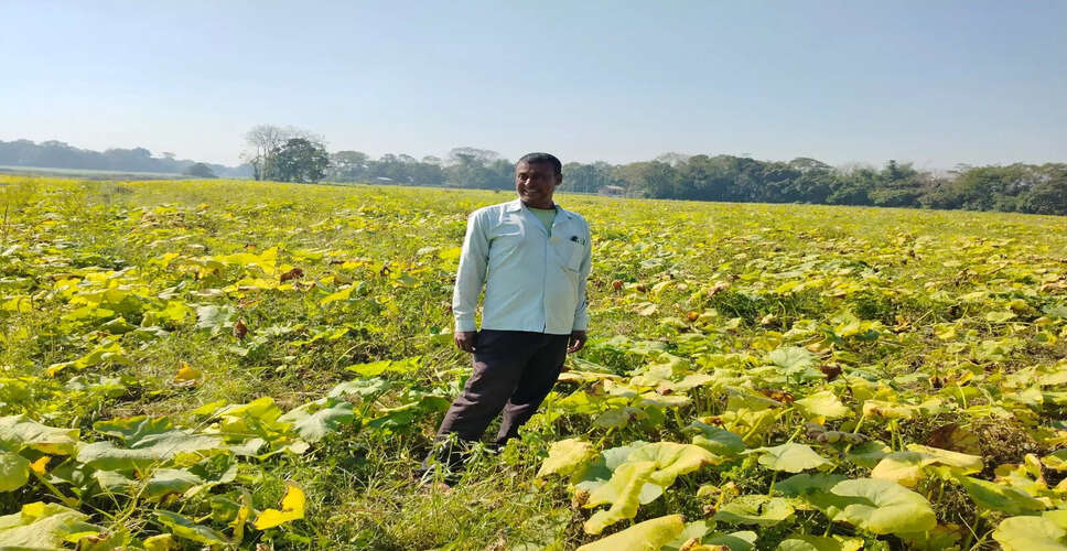 Farmers in Darrang District Face Setbacks Due to Poor-Quality Pumpkin Seeds