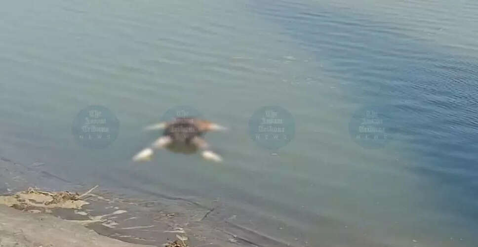 Search Continues for Missing Victims in Brahmaputra Drowning Incident