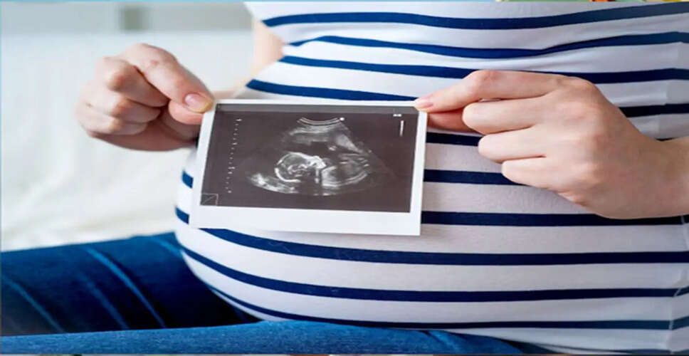 Essential Foods to Enhance Fertility Naturally