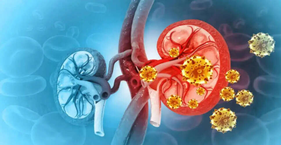Understanding Chronic Kidney Disease: Importance of Early Detection