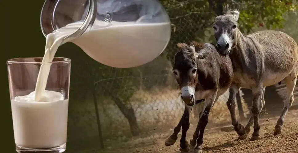 The Surprising Value of Donkey Milk: A Rising Trend