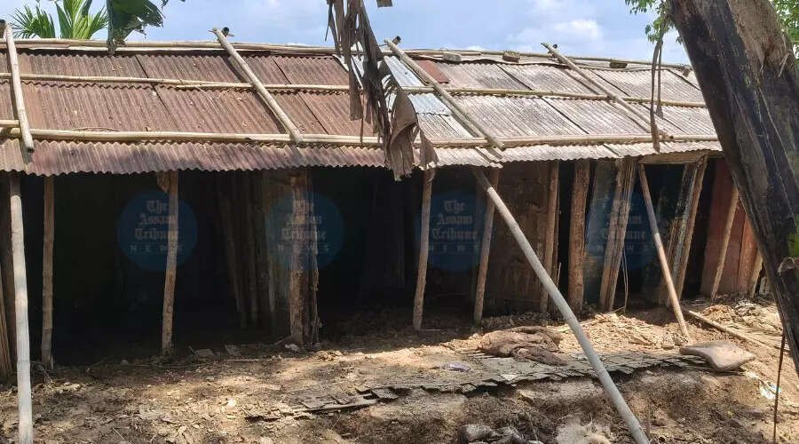 Assam Floods: Survivors Face Daunting Task of Rebuilding Lives