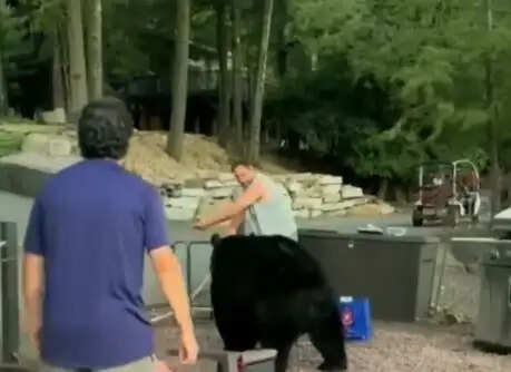 What Happens When a Bear Invades a Yard? This Viral Video Has Everyone Laughing!