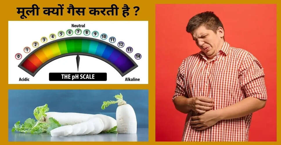 The Health Benefits of Radish: A Natural Remedy for Acidity