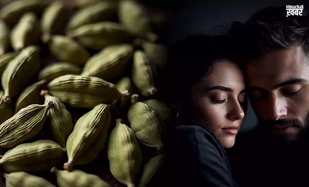 Discover the Health Benefits of Cardamom for Your Well-Being