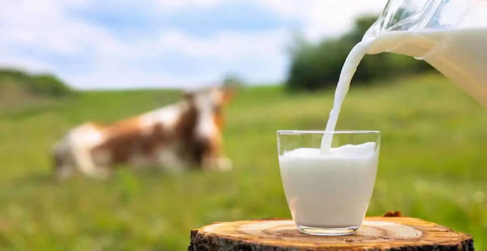 How to Detect Adulterated Milk at Home: Simple Tests You Can Do