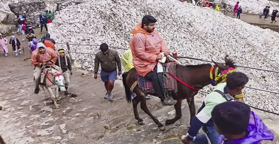 Kedarnath Yatra 2026: New Regulations for Horses and Mules