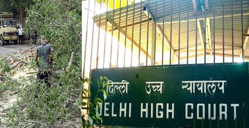 Delhi HC order red flags alarming rate of tree loss in national capital