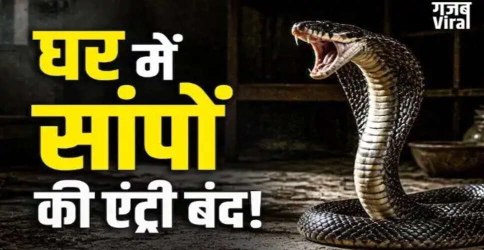 Essential Tips for Snake-Proofing Your Home Amid Rising Temperatures