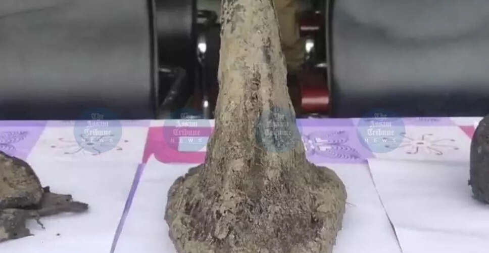 Innovative Rhino Horn Verification Process Aims for Future Conservation